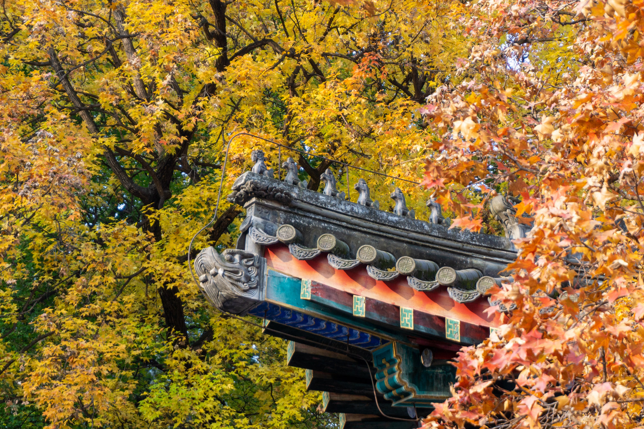 Beijing Traditions Photo Guide: 6 Photography Locations