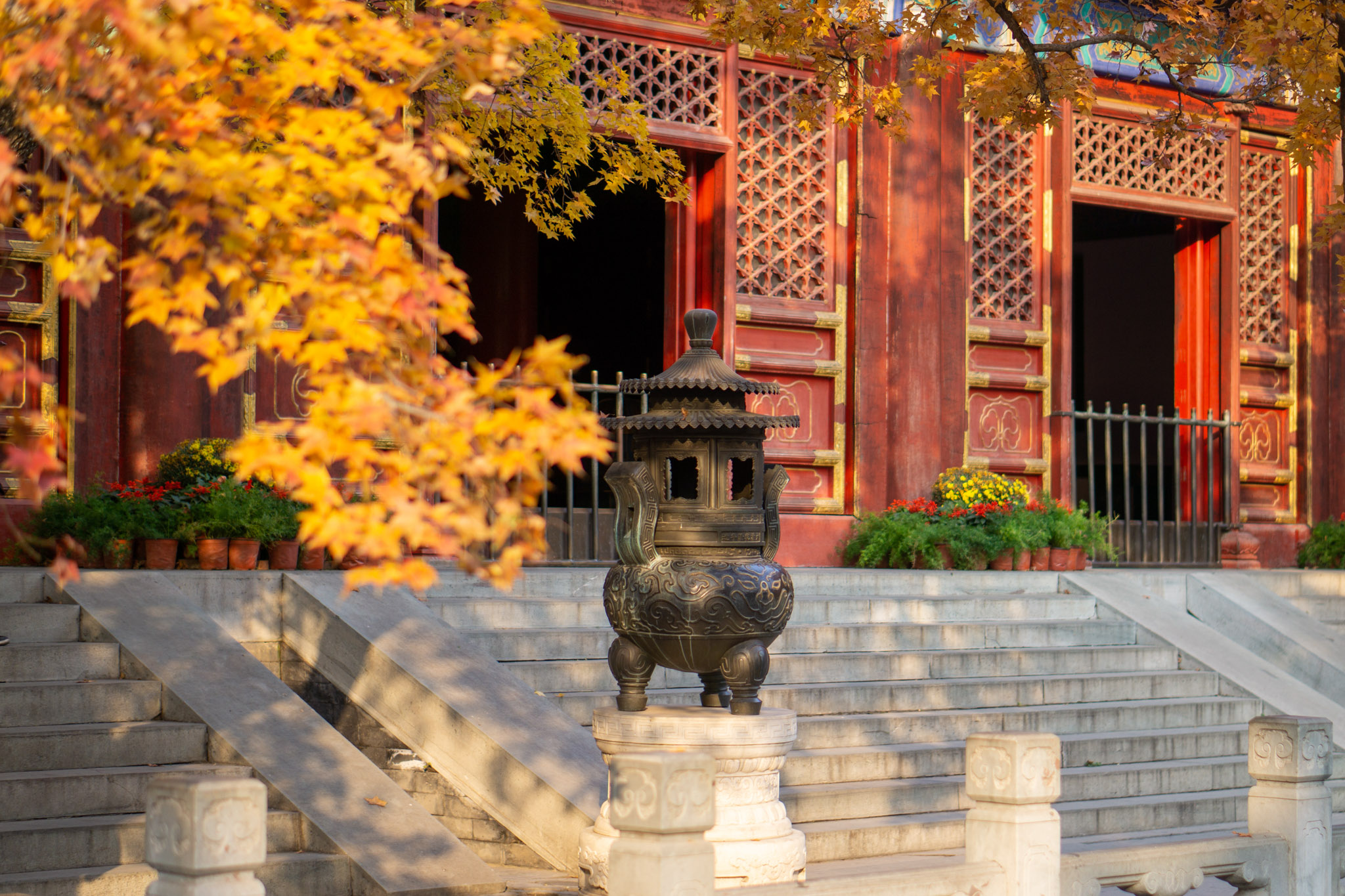 Nature Meets History: Xiangshan Park, Beijing (Photo Collection)
