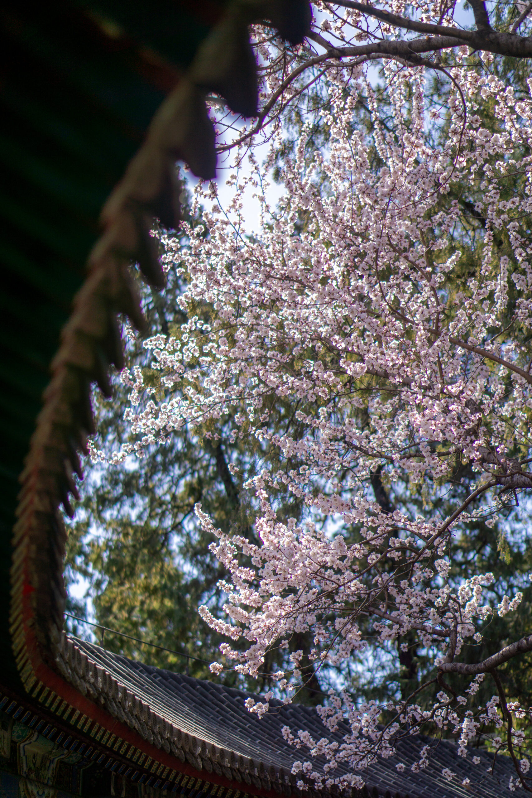 Before You Press the Shutter: 3 Beginner Photography Basics That Matter Most