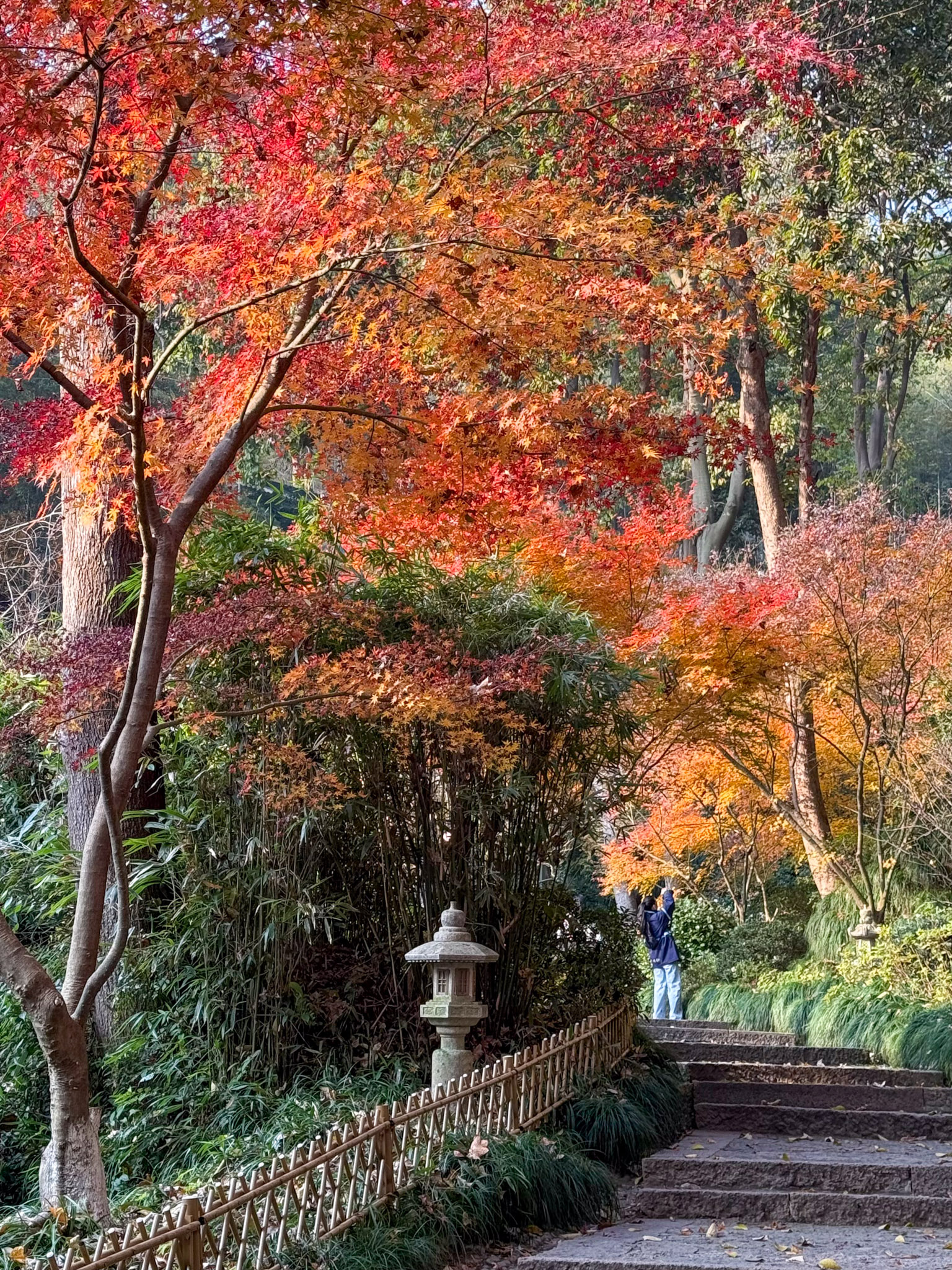 Hangzhou Photography Guide: 4 Photo Ideas You Shouldn’t Miss (Beyond West Lake)