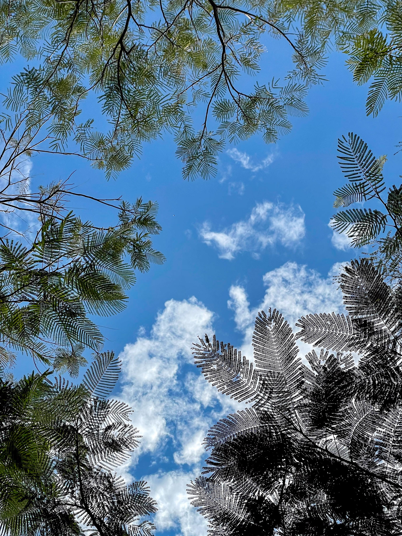 When You Look Up at the Sky: A Healing Sky Photo Collection