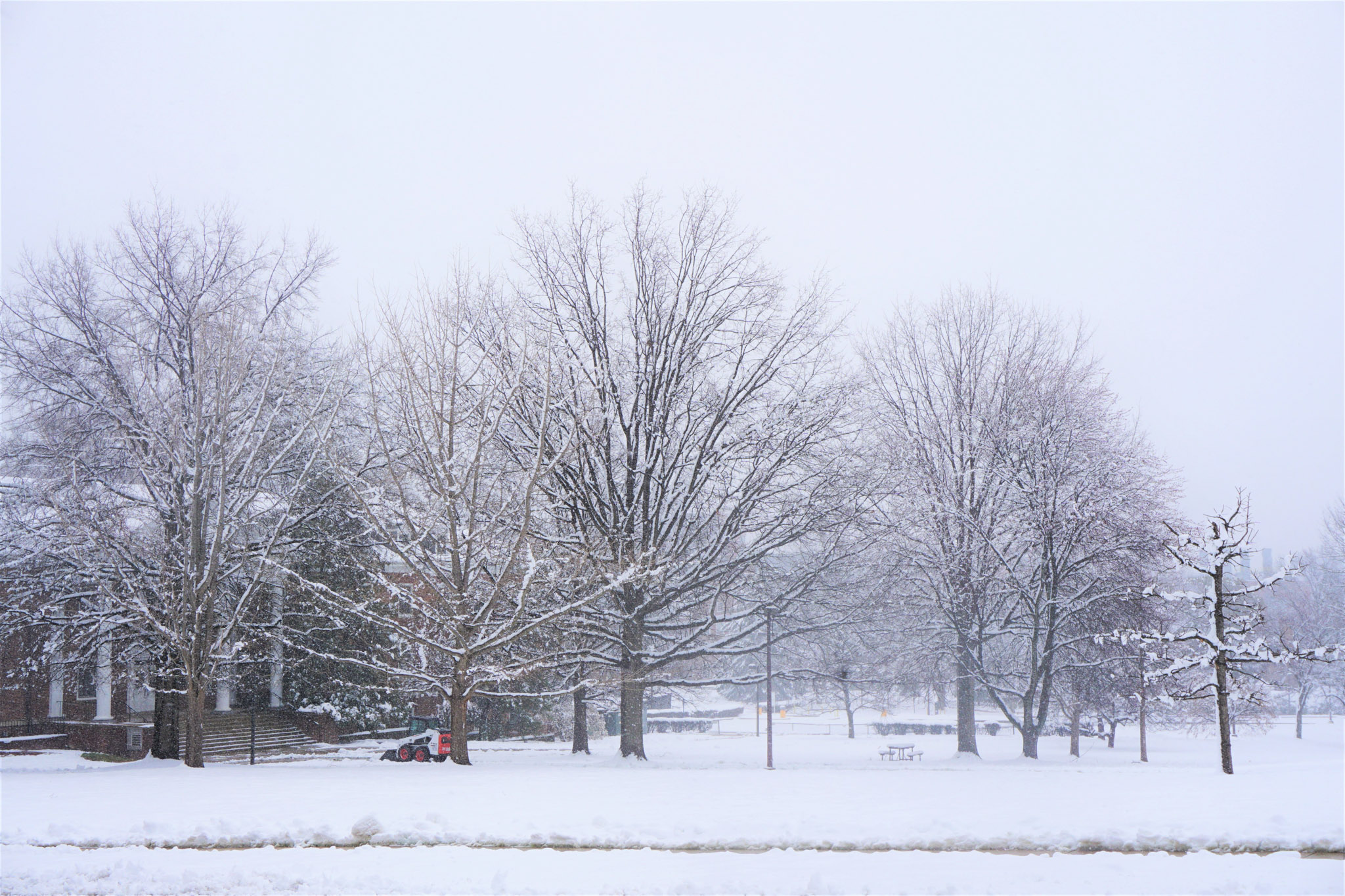 Snow-covered bare trees line a quiet street during a heavy winter storm, with a brick house and park-like open space fading into the snowy haze.