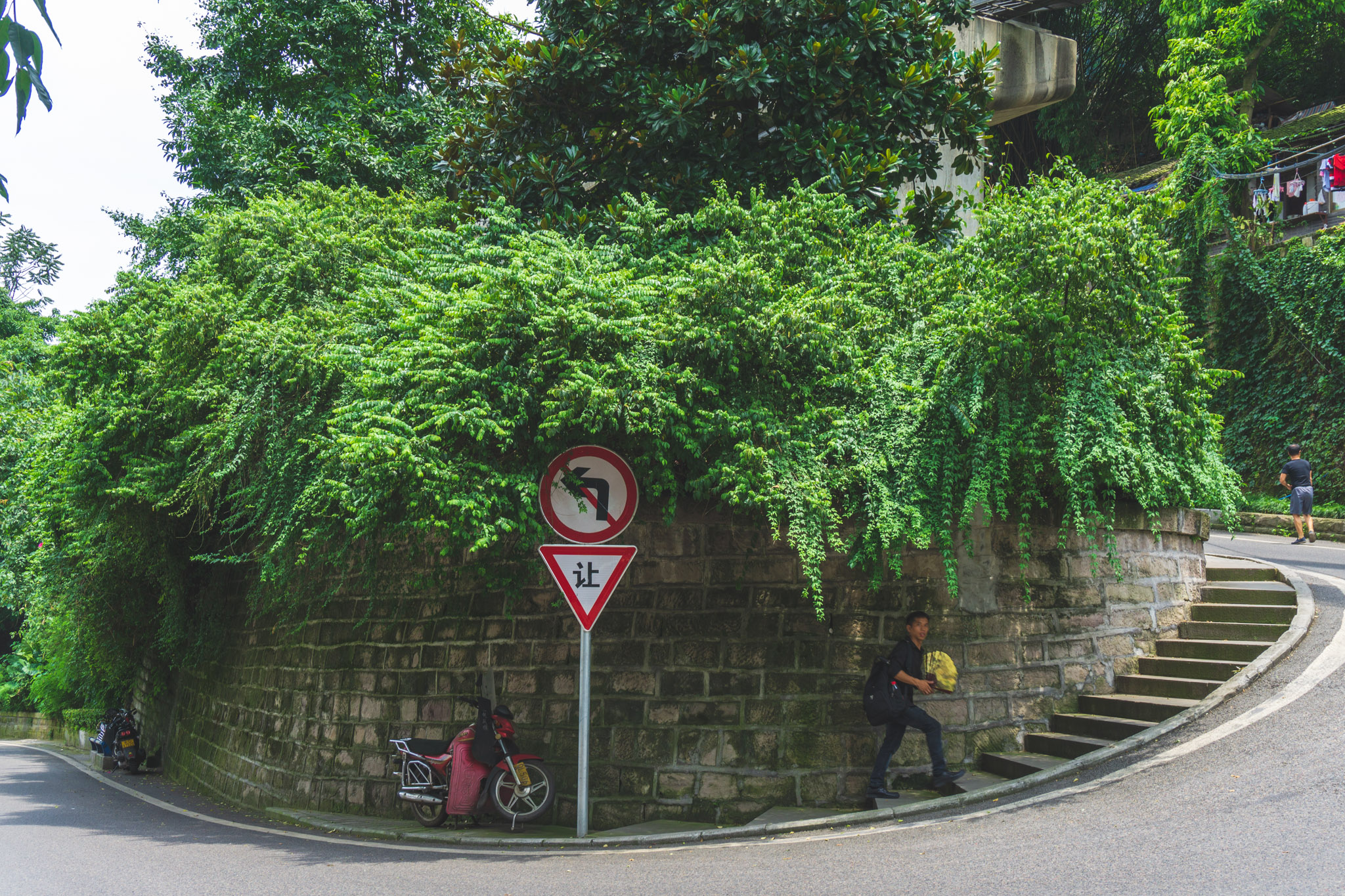 Curving Chongqing street corner with a stone retaining wall covered in lush greenery, roadside steps, and a traffic sign in a humid summer city scene.