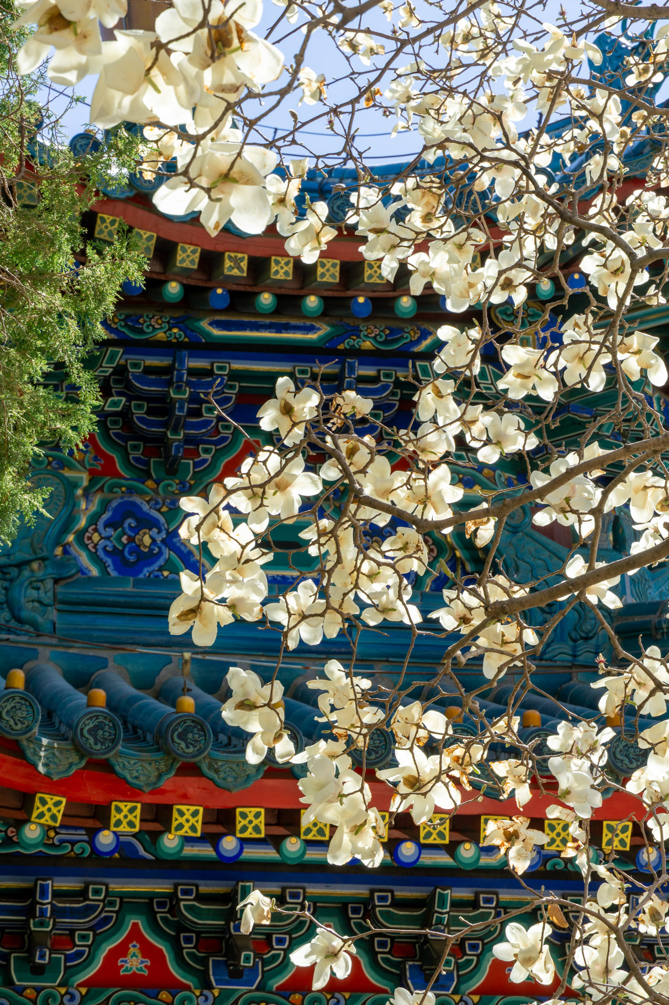 Best Time to Visit Beijing: An Honest Seasonal Guide From a Beijing Native