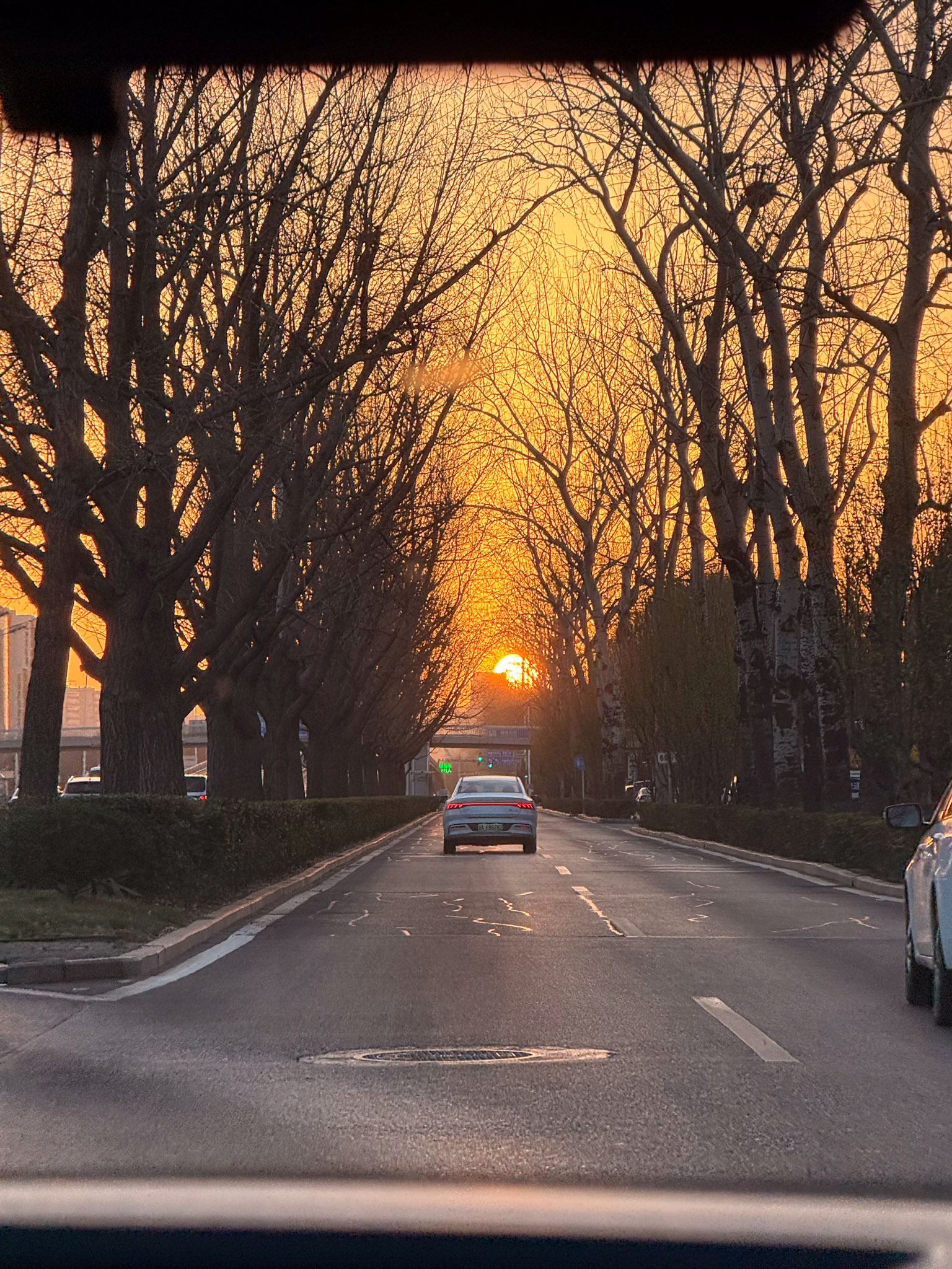 Best of 2025: Travel Photography Highlights Across China