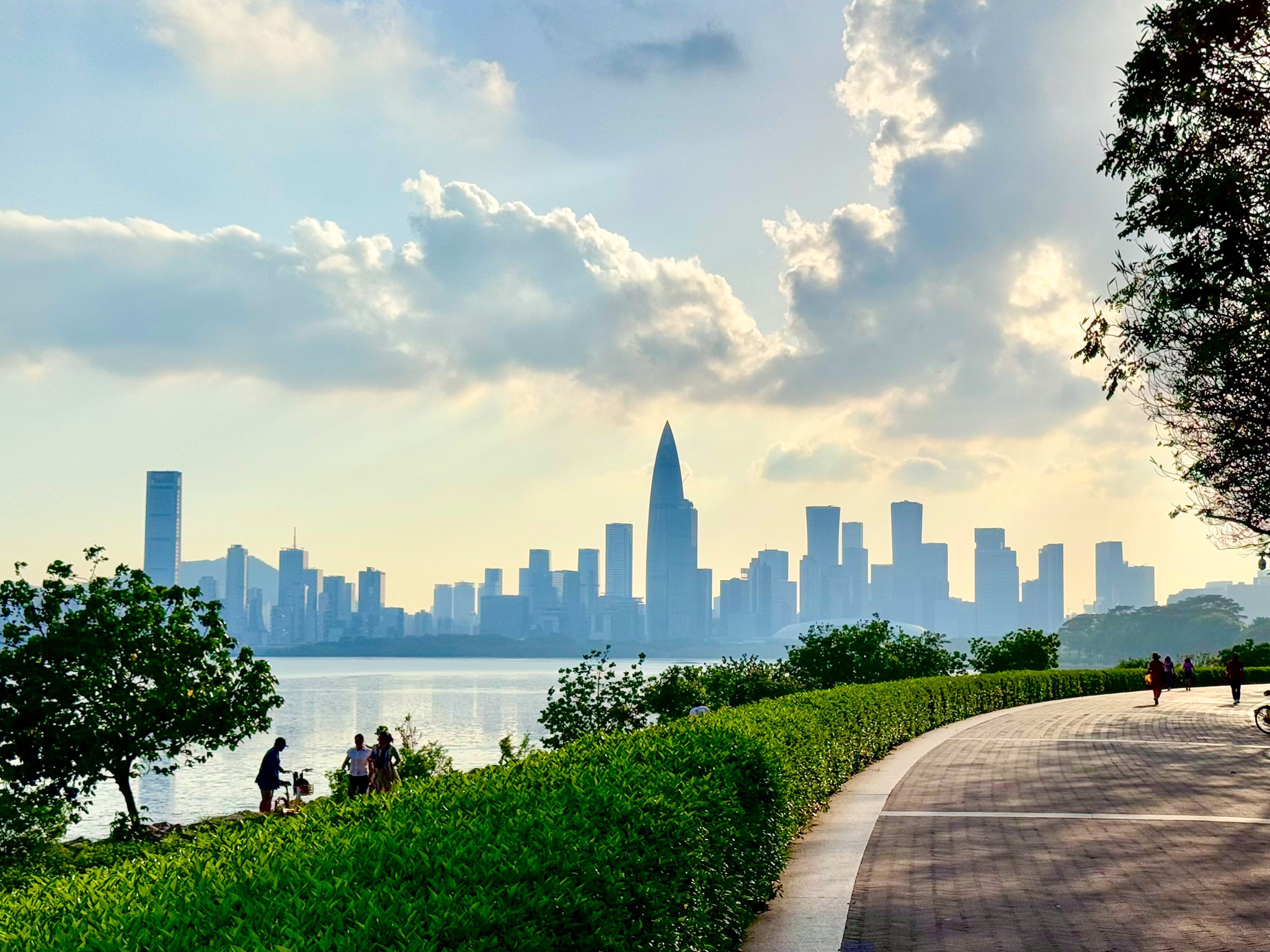 One Day in Shenzhen: A Modern City, Coastal Walks & Skyline Views