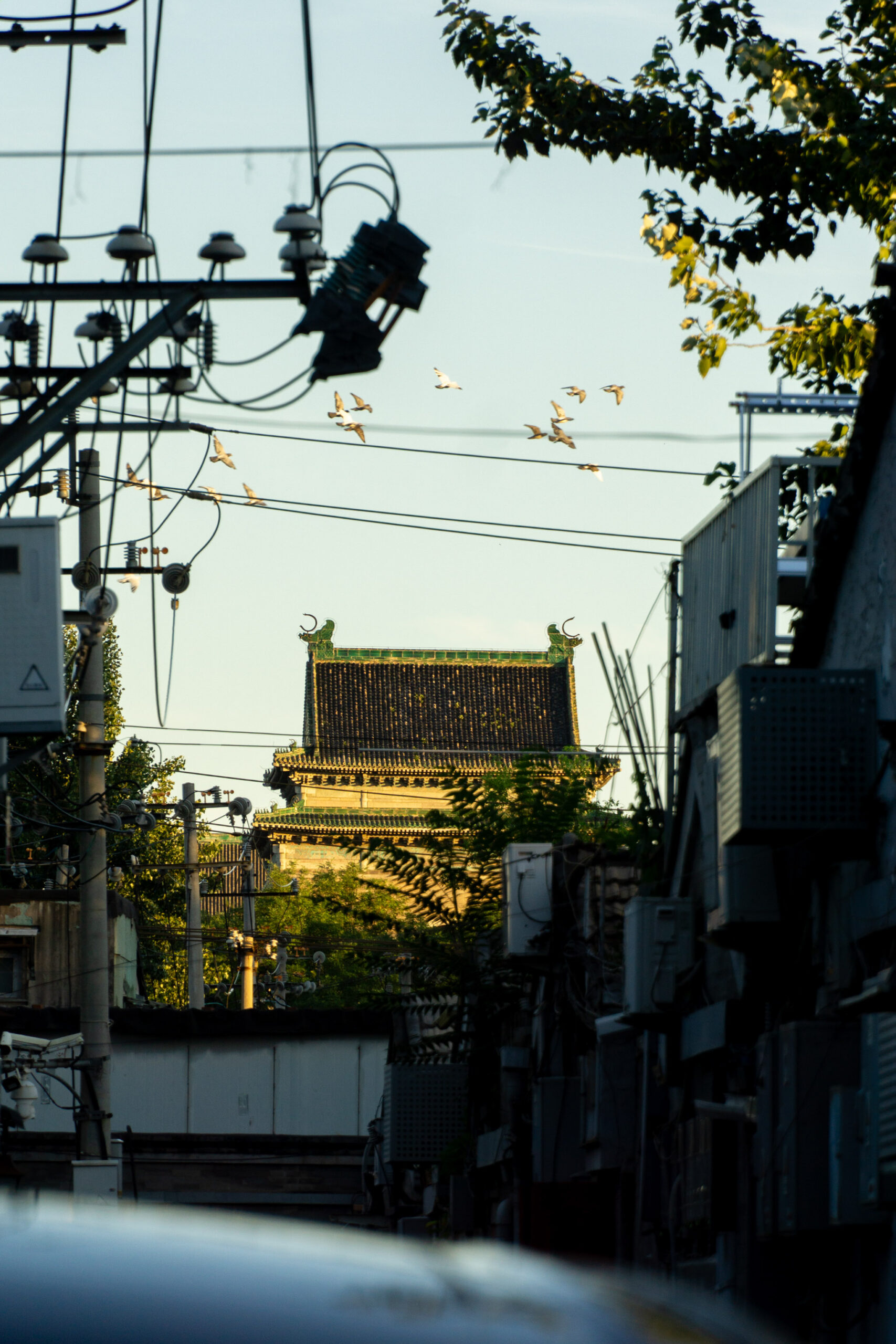 Beijing Hutong Summer: From Fayuan Temple to the Drum Tower