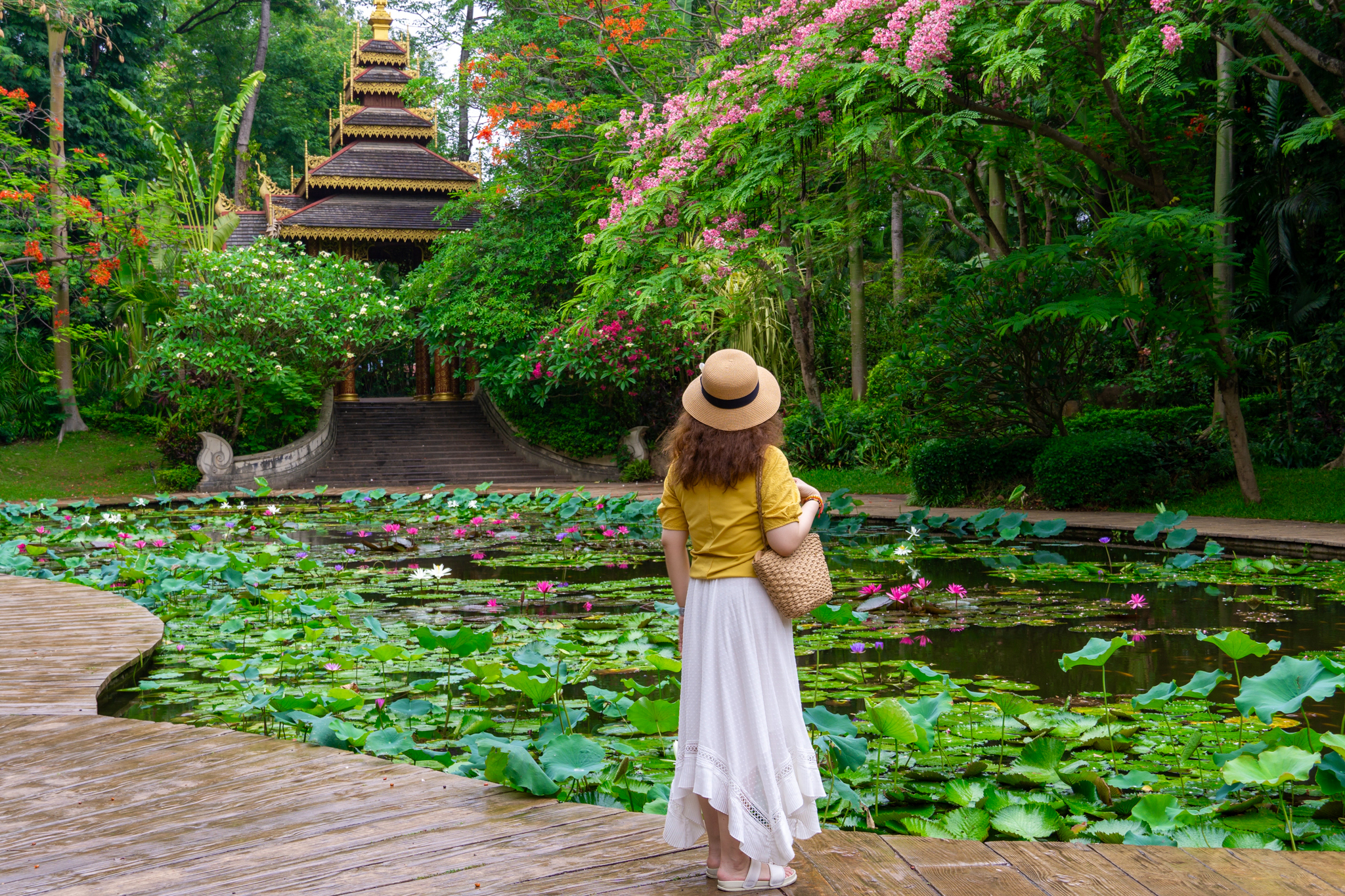 Xishuangbanna 3-Day Itinerary: Tropical Gardens, Dai Villages and Honest Travel Notes